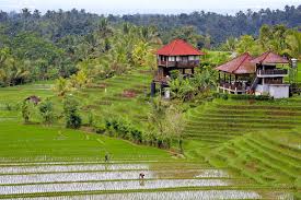 The best area in bali to party like a rock star. Where To Stay In Bali The Best Hotels Areas In 2021