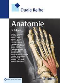 Das blut durchfließt das herz in folgender reihenfolge: Duale Reihe Anatomie Von Gerhard Aum Uuml Ller Isbn 978 3 13 243502 5 Fachbuch Online Kaufen Lehmanns De