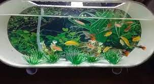 Aquarium unik sendiri merupakan sebuah model aquarium dengan bentuk yang tidak lazim seperti biasanya yang memiliki bentuk persegi panjang, karena memiliki bentuk yang tidak lazim atau umum. Aquarium Unik Home Facebook