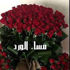 pin by rere on مساء الخير good evening good morning good night