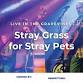 Live in the Grapevines: Stray Grass for Stray Pets Concert