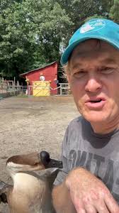 How could anyone possibly eat a lamb? To think people saw Huckleberry's  picture and thought he would belong