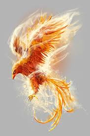 Pin By Teodora Begovic On Tattoo Phoenix Tattoo Phoenix Tattoo Design Phoenix Bird Tattoos