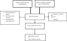 The growing epidemic of obesity in children is in fact, many people with type 2 diabetes are unaware that they have it. Type 2 Diabetes Mellitus Pathogenesis And Genetic Diagnosis Springerlink