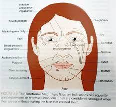 Image Result For Chinese Face Reading Chinese Face Reading Face Reading Reading Charts