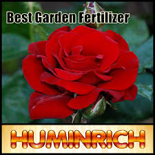 Best organic fertilizer for flowering plants. Huminrich Amino Acid Organic Fertilizer Rose Fertilizer Best Garden Fertilizer Buy Best Garden Fertilizer Rose Fertilizer Best Garden Fertilizer Huminrich Amino Acid Organic Fertilizer Rose Fertilizer Best Garden Fertilizer Product On Alibaba Com