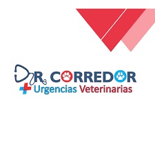 DR CORREDOR URGENCIAS VETERINARIAS
