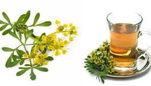 Jun 22, 2021 · todos sus vecinos acudían a su casa para recibir el consabido trago de caña con ruda, la bebida dedicada a la madre tierra. Celebracion De La Pachamama Cana Con Ruda Macho Para El 1 De Agosto