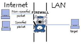 Ip Address Spoofing