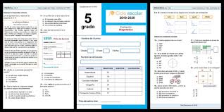 ¿cómo somos los seres vivos? Examen Diagnostico Quinto Grado 2019 2020 Imagenes Educativas