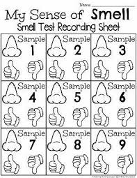 5 Senses Sense Of Smell Worksheets In 2020 Five Senses Preschool Senses Preschool Senses