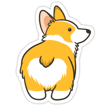 Dog Panosundaki Pin