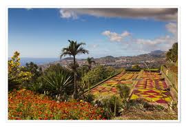 Die kombination des fantastischen das klima und die fruchtbaren böden der insel madeira ist ein garten! dies ist einer der am häufigsten verwendeten slogans in unzähligen. Circumnavigation Botanischer Garten Funchal Madeira Poster Online Bestellen Posterlounge De