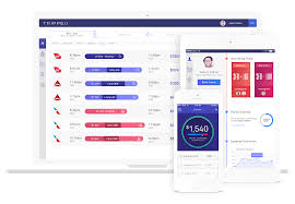 Trippeo Business Travel And Expense Management For Millennials Expense Management Business Travel App Design Inspiration