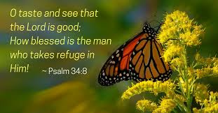 Daily Bible Verse | Verse of the Day | Psalm 34:8 (NASB)
