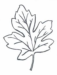 Fall Pillows Printables And Porches Oh My Leaf Coloring Page Fall Clip Art Maple Leaf Images