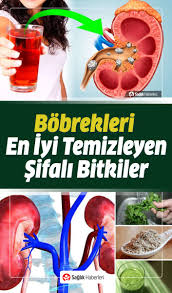 Bobrekleri En Iyi Temizleyen Ve Tedavi Eden Sifali Bitkiler Sifali Bitkiler Saglik Bitki Saglikli Yasam
