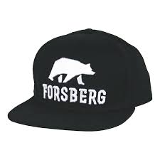 Insurance, for your total peace of mind! Forsberg Cap Mit 3d Logo Mutzen Forst Baumpflege Schutzausrustung Psa Lamm Seile