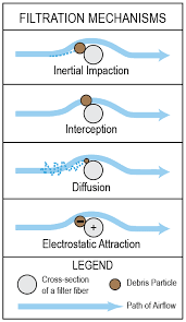 In the usual process of osmosis, water molecules freely move across a membrane from areas of high concentration to areas of low concentration, in order to balance the distribution of molecules within the fluid. Merv Vs Hepa How Air Filters Work Sy Klone International