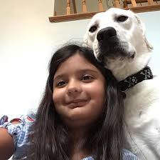 Lost dog Murphy found safe in Vienna, WV