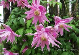 We did not find results for: April We Are Lucky Almost All The Planted Bulbs Are In Flower