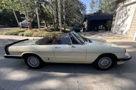 Image result for Ivory 1985 Alfa-Romeo
