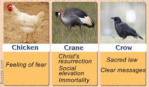 Birds And Their Meanings Tattoo Pretty Enthralling Bird Symbolism And Their Meanings Bird Tattoo Meaning Animal Medicine Bird