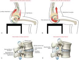 Anterior Pelvic Tilt An Overview Sciencedirect Topics