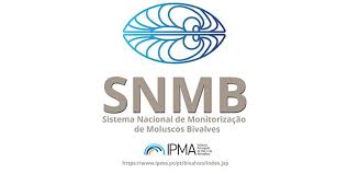 Braga - Friburgo : ce qu'il faut savoir — image 4