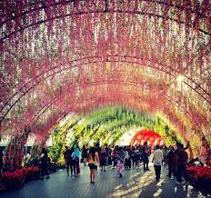Batu kawan is an island and a town in the area of penang, malaysia. Photos This Stunning New Garden In Penang Looks Like It Came Right Out Of A Fairy Tale