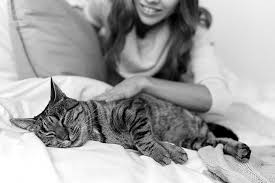 Your cat going into heat. Caring For The At Home Cancer Patient Catwatch Newsletter