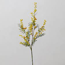 Faux Mimosa Spray In 2020 Flower Room Decor Flower Room Indoor Flowers