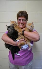 Maybe you would like to learn more about one of these? Become A Foster Family Nhspca