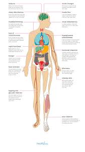 The Effects Of Low Blood Sugar On Your Body