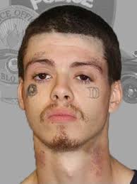 Auto theft suspect arrested after crash