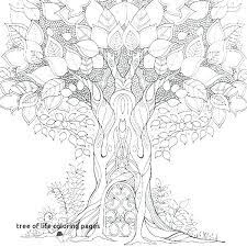 The trees were a very important aspect of the celtic culture. Tree Of Life Coloring Pages Coloring Home