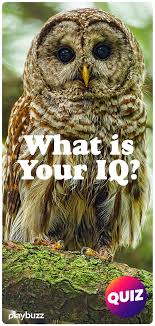 General knowledge requires crystalized intelligence; Pin On Demolition