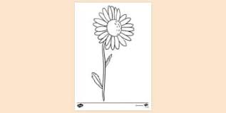 Coloring book printable flower coloring pages preschool. Free Daisy Flower Garden Colouring Colouring Sheets