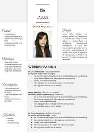 Cv Voorbeeld 5