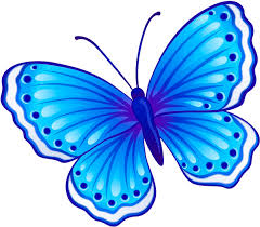 Learning to create basic butterfly drawings is much easier than you may think. Download Mariposa Draw A Butterfly And Colour Full Size Png Image Pngkit