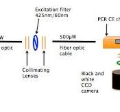 3: Illustration of initial optics design for real time PCR ...