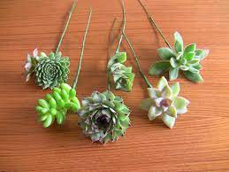 It was harder for me to coordinate the tape, the wire and the succulent when i did not connect the wire through the stem first. Diy Succulent Bouquet 60 00 Via Etsy Diy Wedding Bouquet Succulent Bouquet Diy Diy Bouquet