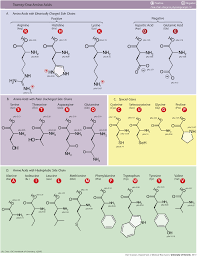 Chemistry Of Nutrition Brilliant Math Science Wiki
