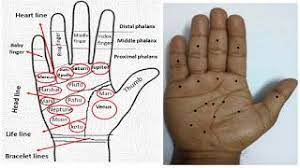 Significance Of Moles In Palm And Their Impact In Human Life Palm Hand Pictures Human Life