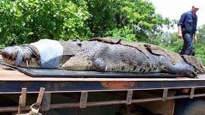 See full list on worldatlas.com Second Biggest Croc Caught In Australia Outback Wrangler Matt Wright