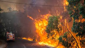 Zahlreiche einwohner der region seien aus dem schlaf gerissen worden. Waldbrande In Griechenland Feuerwehr Im Dauereinsatz Gegen Brande Wetter De