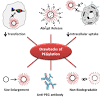 Peg is now increasingly being applied to the problems of tumour targeting, both in the context of the. 1