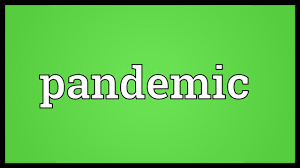 Here are all the possible meanings and translations of the word pandemic. Pandemic Meaning Youtube