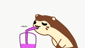 DICKS Pokemon Art Dump LEAN FURRET LEANED AND LOVIN IT