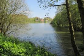 Anderlecht city map in retro style. Visit Brussels While Running City Run Anderlecht